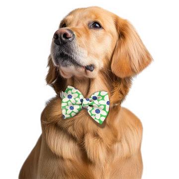 Pawsindia Daisy Delight Pattern Bow Tie